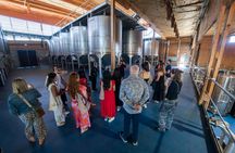 Ribera del Duero full-day wine Tour from Madrid