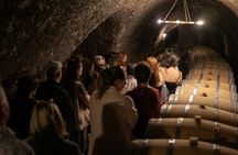 Ribera del Duero full-day wine Tour from Madrid