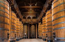 Wine and food tasting on Mount Etna vineyard from Taormina