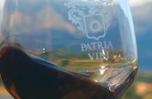 Wine and food tasting on Mount Etna vineyard from Taormina