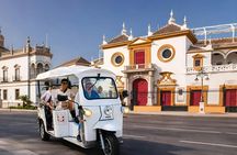 Seville 2-hour grand tour in private tuk tuk with local guide