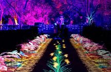 Guided tour of Alcázar of Cordoba at night