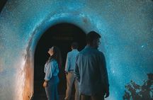 Audio-guided wine cellars tour and Taylor's masterclass with tasting