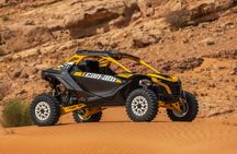 Half-day dune buggy experience in Dubai