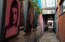 Private Dublin tour - hidden gems and main attractions with a local