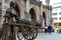 Private Dublin tour - hidden gems and main attractions with a local