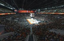 Valencia Basket and museum tour