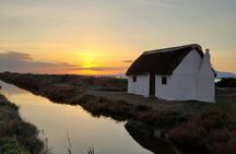 Ebro Delta flamingo and birdwatching tour at sunset