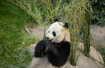 Copenhagen Zoo skip-the-line ticket with audio city tour and 1GB eSIM