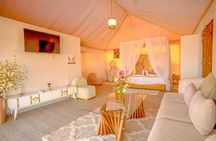 2-day Marrakech Medina cycling, Agafay Desert and Ourika saffron tour