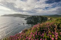 Ring of Kerry and Skellig Ring guided tour from Killarney