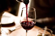 La Rioja guided tour with wine tasting from Logroño
