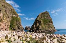 Northeast highland coastline and fishing villages tour from Aberdeen