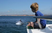 Dolphin watching and Benagil Cave experience in Algarve
