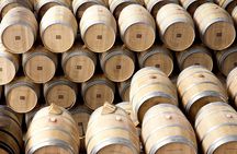 Full-day La Rioja wine tour and visit to Laguardia from Vitoria