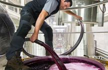 Full-day La Rioja wine tour and visit to Laguardia from Vitoria
