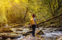 Day trip to Ochagavia and the Irati Forest from Pamplona