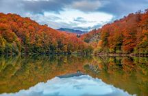 Day trip to Ochagavia and the Irati Forest from Pamplona