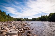 Full-day guided Speyside whisky tour from Aviemore with tastings