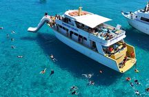 Wine tasting boat cruise from Latchi to Blue Lagoon with BBQ lunch