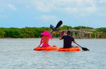 Isla Columpios half-day trip with pick-up from Mérida