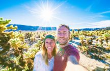 Guided Joshua Tree National Park plus The Richard Nixon Presidential Library and Museum