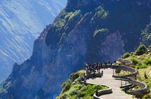 Colca Canyon full-day group tour with transfer to Puno from Arequipa