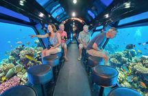 Sea Scope semi-submarine experience from Makadi Bay in Hurghada