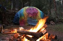 San Pedro Wachuma shamanic experience in Cusco