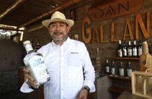 Ica pisco and wine tasting tour