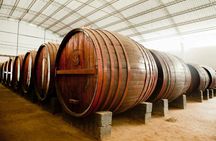 Ica pisco and wine tasting tour