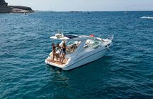 Small-group cruise in Tenerife