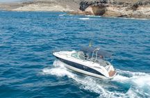Small-group cruise in Tenerife