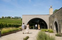 LOISIUM WineExperience access with Vienna audio guide and eSIM