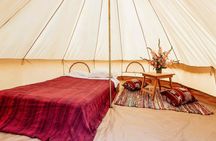Huacachina desert glamping experience with dinner and sandboarding