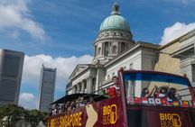 Big Bus tour of Singapore