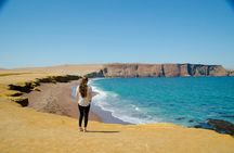 Ballestas Islands and Paracas National Reserve tour