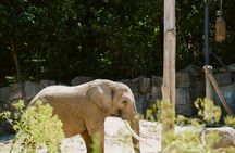 Schönbrunn Zoo access with Vienna audio guide and eSIM