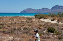 Electric scooter off-road tour in Mallorca