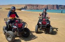 Paracas National Reserve buggy and ATV adventure