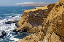 Paracas National Reserve buggy and ATV adventure