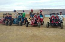 Paracas National Reserve buggy and ATV adventure