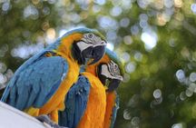 Amazon full-day jungle safari from Iquitos
