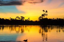 Amazon full-day jungle safari from Iquitos