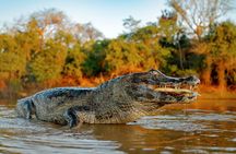 Amazon full-day jungle safari from Iquitos