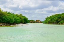 Isla Columpios half-day trip with pick-up from Mérida