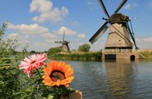 Waterbus ticket between Rotterdam and Kinderdijk with audio city walks