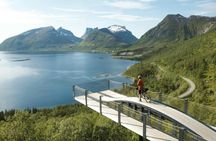 Senja coast and Arctic fjords guided tour from Tromsø