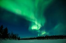 Northern Lights evening guided tour with reindeer encounter