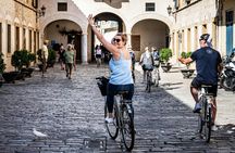 Seville half-day city top monuments bike tour